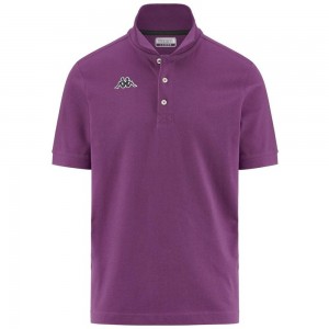 Kids' Kappa Logo Holiver Mss Polo Shirt Purple | 674019-IQX