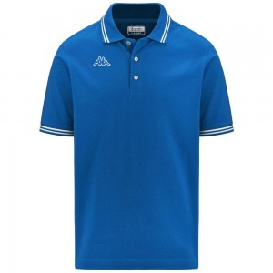 Kids' Kappa Logo Maltax 5 Mss Polo Shirt Blue | 952430-QCN