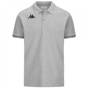 Men Kappa 4 Training Barli Polo Shirt Grey | 125794-AEM