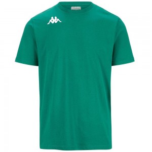 Men Kappa 4 Training Brizzo T-Shirt Green | 086274-QYS