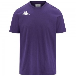 Men Kappa 4 Training Brizzo T-Shirt Purple | 180396-JPY