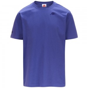 Men Kappa Authentic Tayloryx T-Shirt Purple | 097518-UJZ