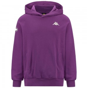 Men Kappa Authentic Zeus Warner Bros Hoodie Purple | 369071-XFU