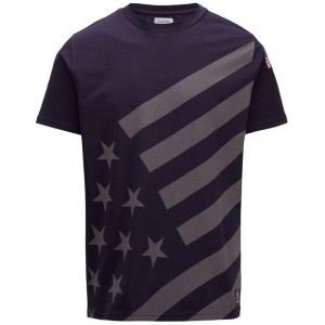 Men Kappa Ayba2 Flag Us T-Shirt Grey | 548039-MGZ