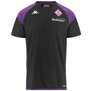 Men Kappa Ayba 7 Fiorentina T-Shirt Grey | 632079-XVT