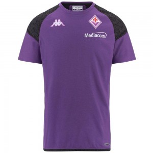 Men Kappa Ayba 7 Fiorentina T-Shirt Purple | 867925-DYA