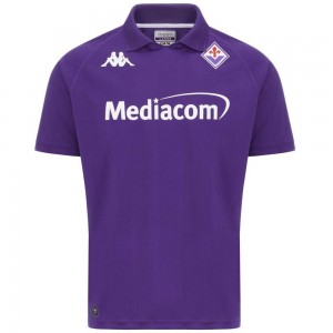 Men Kappa Kombat 2025 Fiorentina Jersey Purple | 684057-OYF