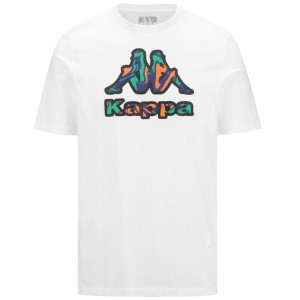 Men Kappa Logo Fioro T-Shirt White | 019738-PDS