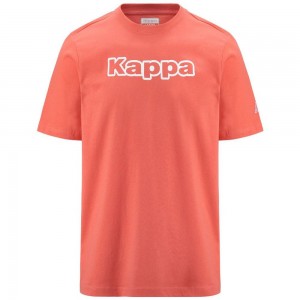 Men Kappa Logo Fromen T-Shirt Orange | 902538-UKO