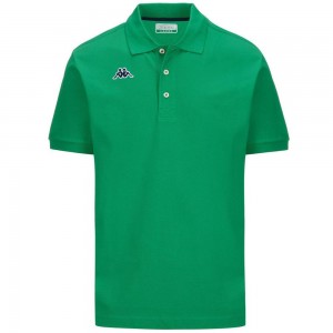 Men Kappa Logo Holiver Mss Polo Shirt Green | 683257-PAX