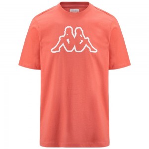 Men Kappa Logo Korpo Cromen T-Shirt Orange | 170896-ODZ