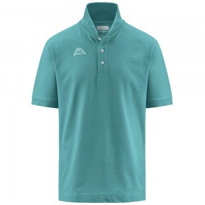 Men Kappa Logo Life Mss Polo Shirt Blue | 260739-UPF