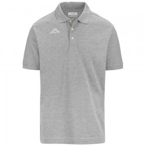 Men Kappa Logo Life Mss Polo Shirt Grey | 250794-BHP