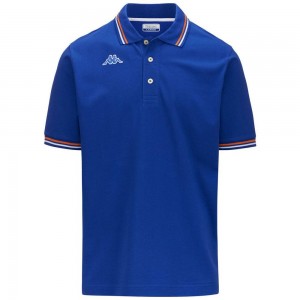 Men Kappa Logo Maltax 5 Mss Polo Shirt Blue | 972048-FAU