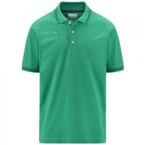 Men Kappa Logo Maltax 5 Mss Polo Shirt Green | 471865-SQJ