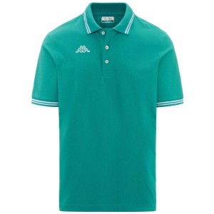 Men Kappa Logo Maltax 5 Mss Polo Shirt Green | 729860-MEN