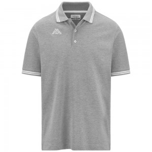 Men Kappa Logo Maltax 5 Mss Polo Shirt Grey | 572418-YVC