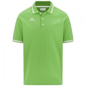 Men Kappa Logo Maltax 5 Mss Polo Shirt Green | 185062-PQK