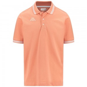 Men Kappa Logo Maltax 5 Mss Polo Shirt Orange | 034896-IUM