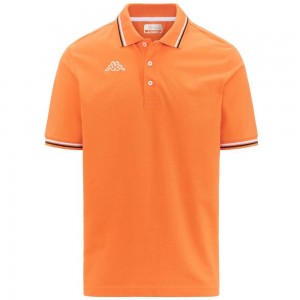 Men Kappa Logo Maltax 5 Mss Polo Shirt Orange | 821064-ZCR