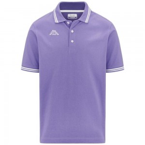 Men Kappa Logo Maltax 5 Mss Polo Shirt Purple | 326081-ILJ