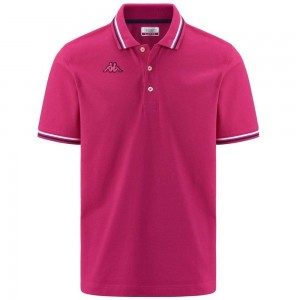 Men Kappa Logo Maltax 5 Mss Polo Shirt Pink | 321804-EQY