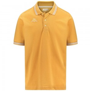 Men Kappa Logo Maltax 5 Mss Polo Shirt Yellow | 380419-BJQ