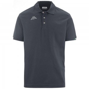 Men Kappa Logo Maltaxita Mss Polo Shirt Grey | 240365-HNF