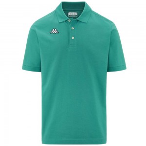 Men Kappa Logo Sharas Mss Polo Shirt Green | 260478-QFS