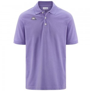 Men Kappa Logo Sharas Mss Polo Shirt Purple | 061359-IHW