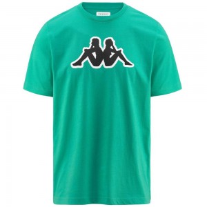 Men Kappa Logo Zobi T-Shirt Green | 893620-UDF