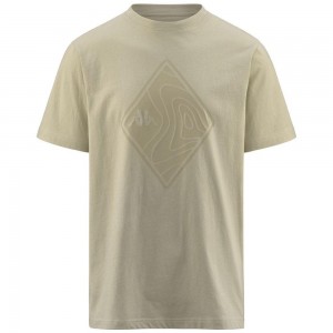 Men Kappa Nigraph T-Shirt Beige | 591378-FIR