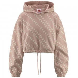 Women Kappa Authentic Tropp Organic Hoodie Pink | 687093-UZH