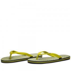 Women Kappa Logo Belkem Flip Flops Green | 908624-BZR