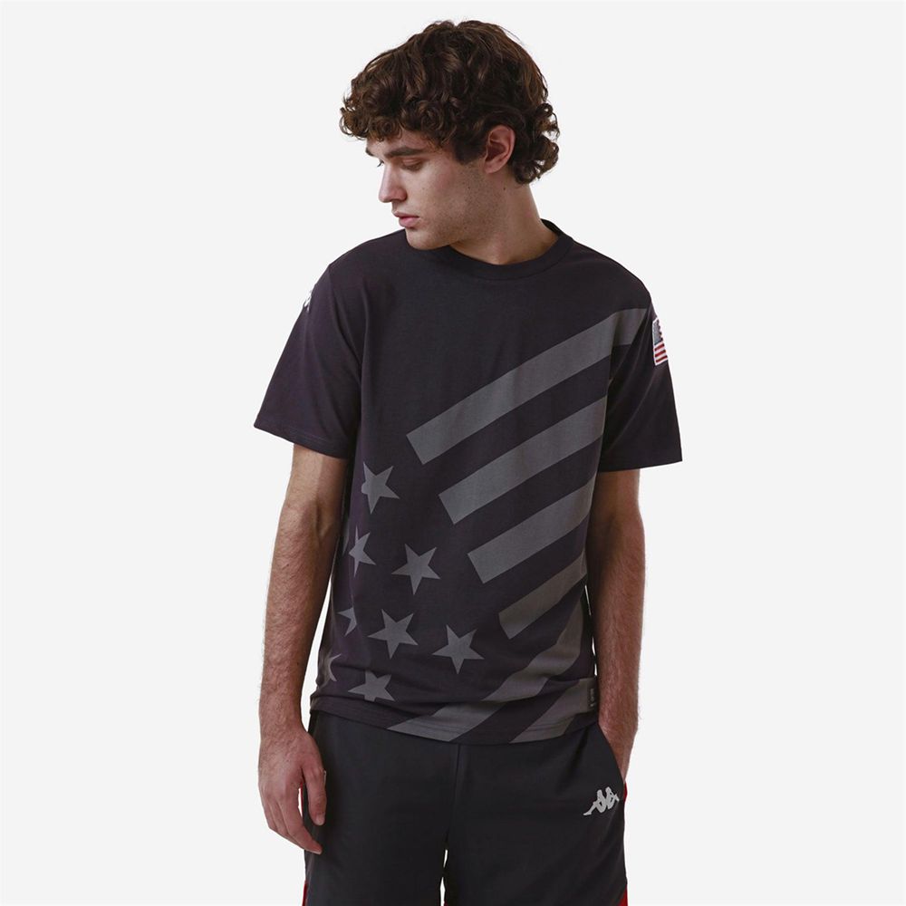 Men Kappa Ayba2 Flag Us T-Shirt Grey | 548039-MGZ