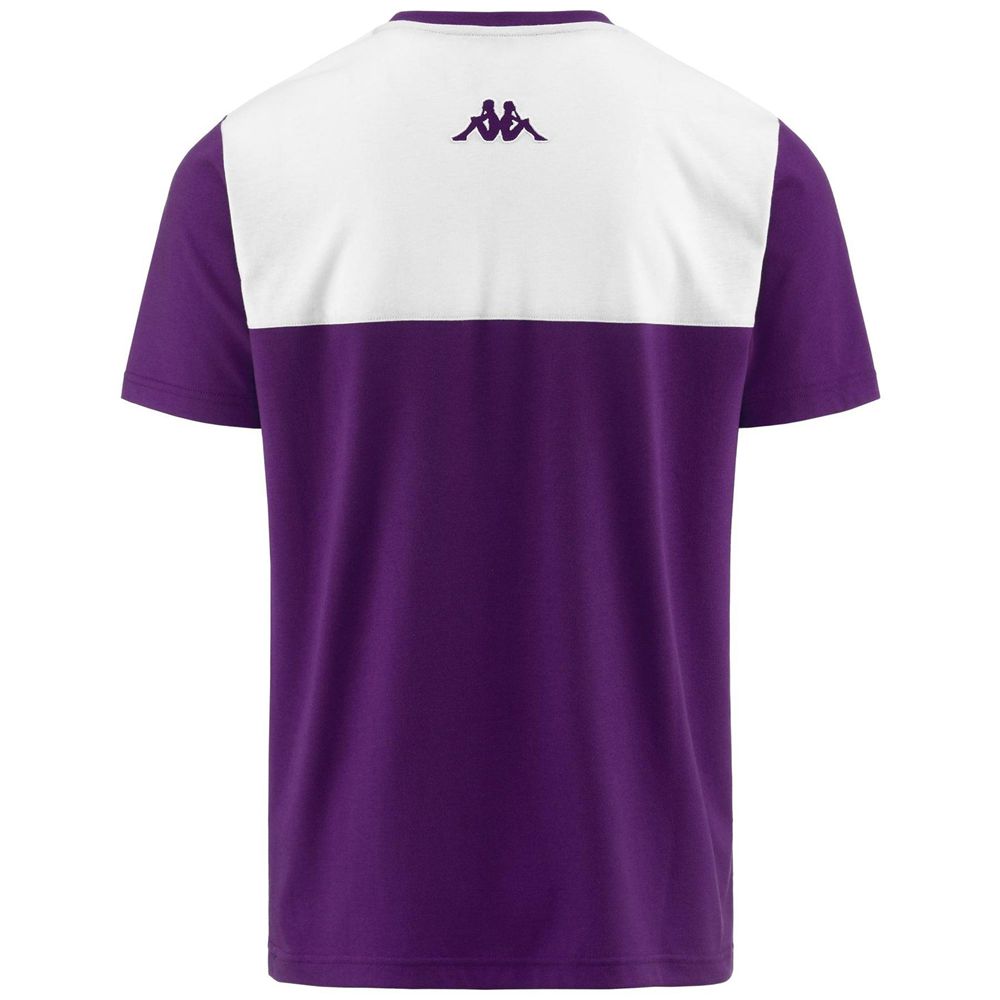 Men Kappa Faraschi Fiorentina T-Shirt Purple | 356418-YGJ