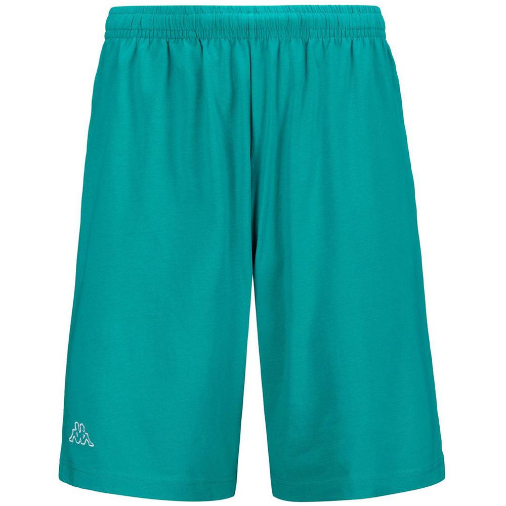 Men Kappa Logo Cabog Shorts Blue | 790461-PXC