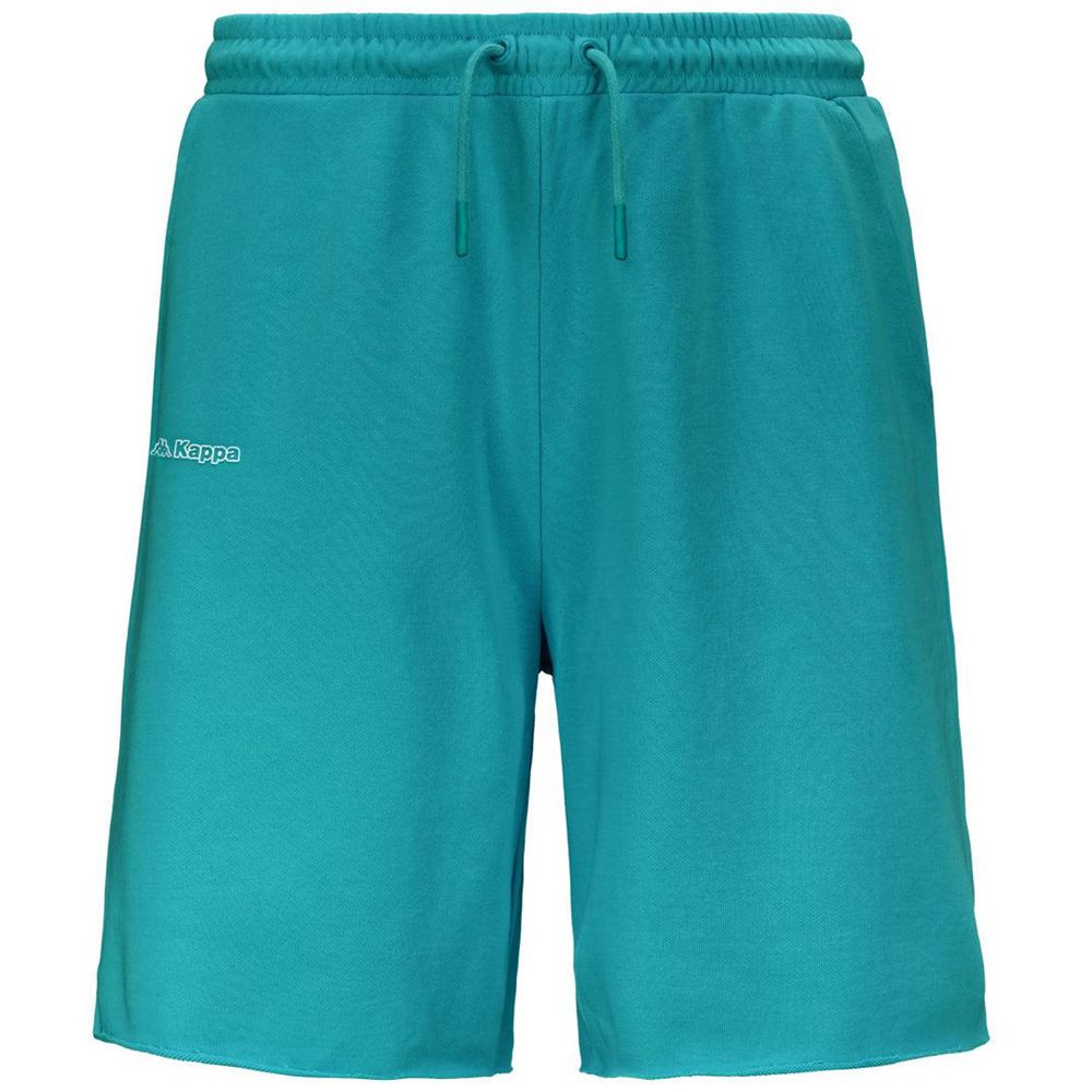 Men Kappa Logo Felito Shorts Blue | 658174-NLD