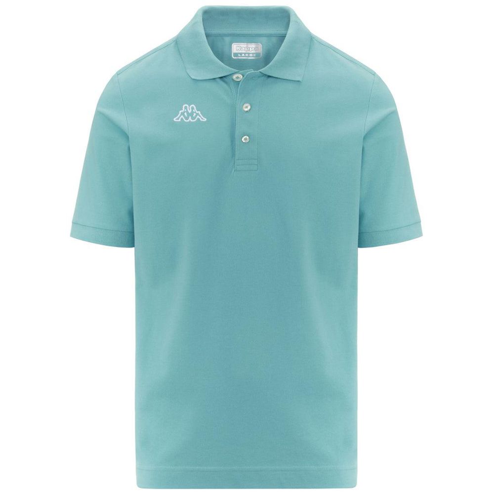 Men Kappa Logo Life Mss Polo Shirt Turquoise | 149205-DZN