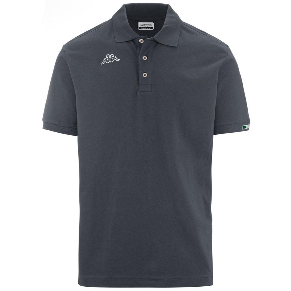 Men Kappa Logo Maltaxita Mss Polo Shirt Grey | 240365-HNF