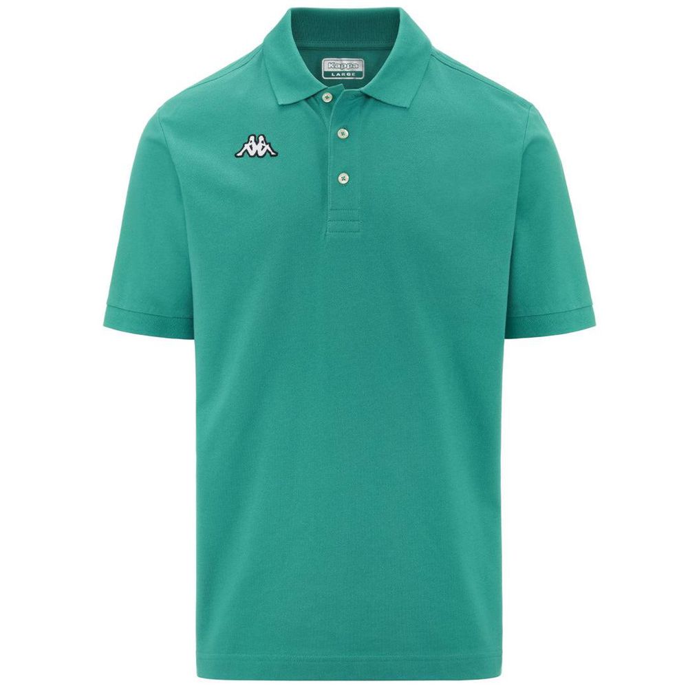 Men Kappa Logo Sharas Mss Polo Shirt Green | 260478-QFS